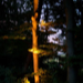 carousel_thumb